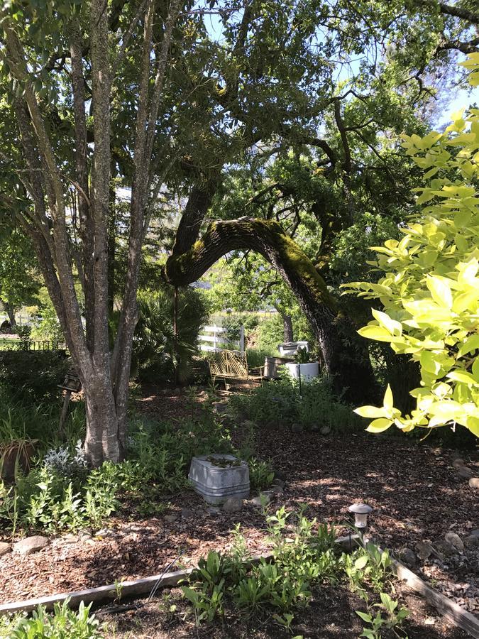 Trailside Inn Bed And Breakfast Calistoga Εξωτερικό φωτογραφία